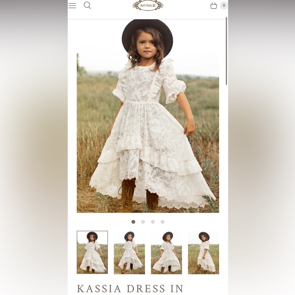 NWT Joyfolie Kassia Dress